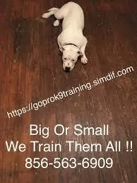 S0LV1NG K9 Problems