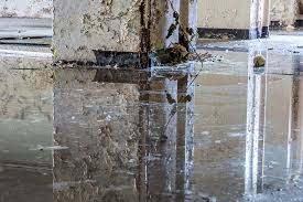 Water Damage Problems Fort Myers Beach