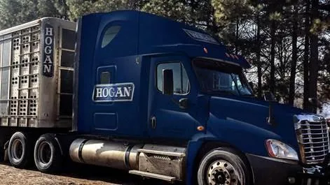 Class A CDL Livestock Truck Driver