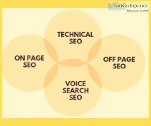 Best SEO company in noida India.