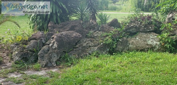 Lava Rock - Black (Small to Huge)