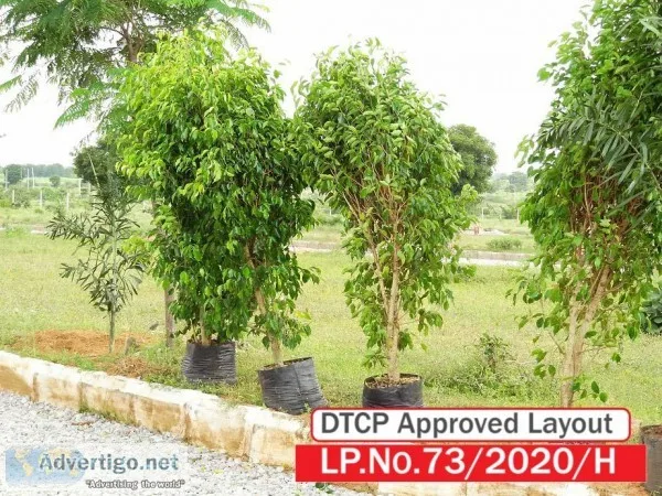 Amazing developed property great price in JP DARGA