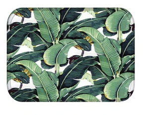 Tropical Cactus Carpet Door Mats ShoppySanta