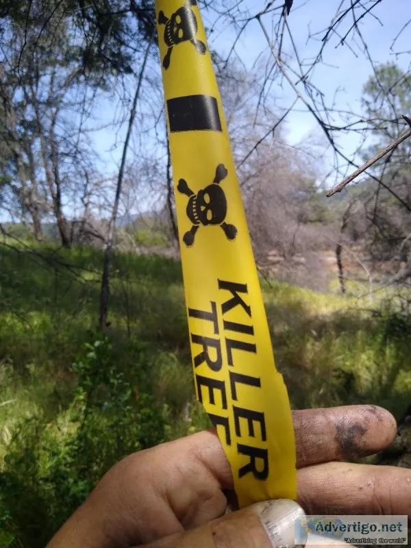 We need your Down and Dead Tree s