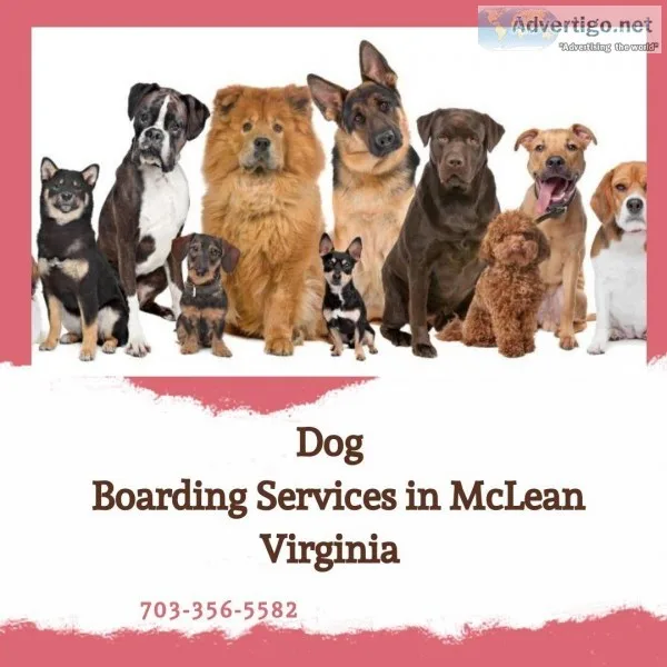 Dog Boarding Services in Virginia
