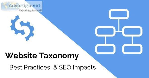 Hire the Professional SEO Services in Noida