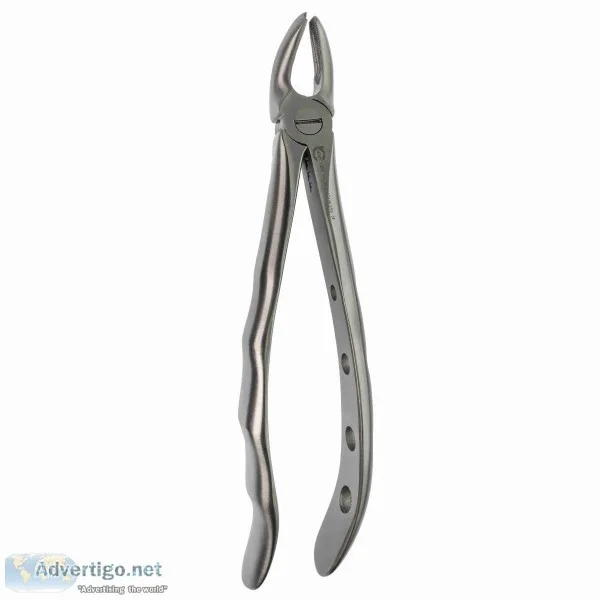 Upper Molar Forcep - Dental Instruments Online - Dental Products