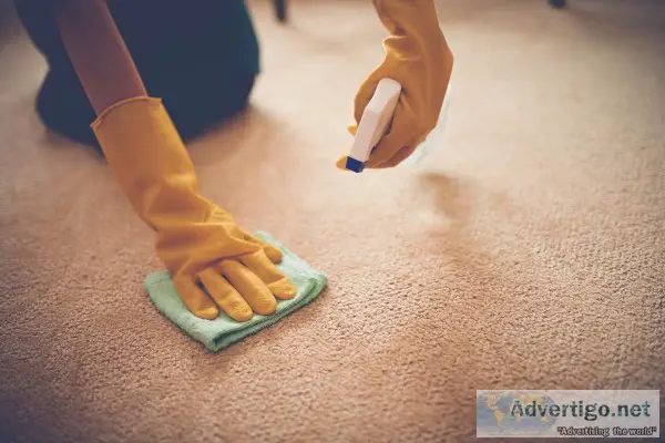 Professional Carpet Cleaning Calgary Alberta