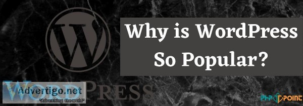 Why is WordPress Is So Popular