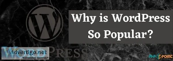 Why is WordPress Is So Popular