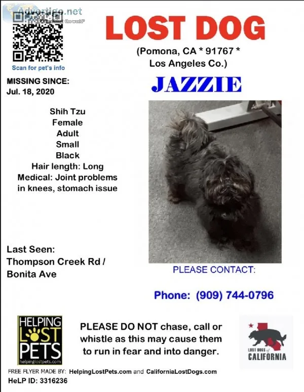 LOST DOG REWARD FOR RETURN TO US