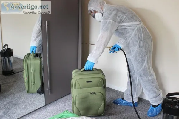 Bed Bug Pest Control