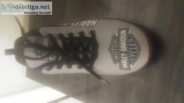 Harley Davidson NEW woman&quots sneakers