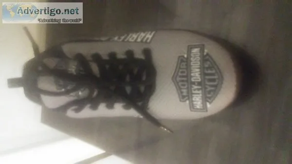 Harley Davidson NEW woman&quots sneakers