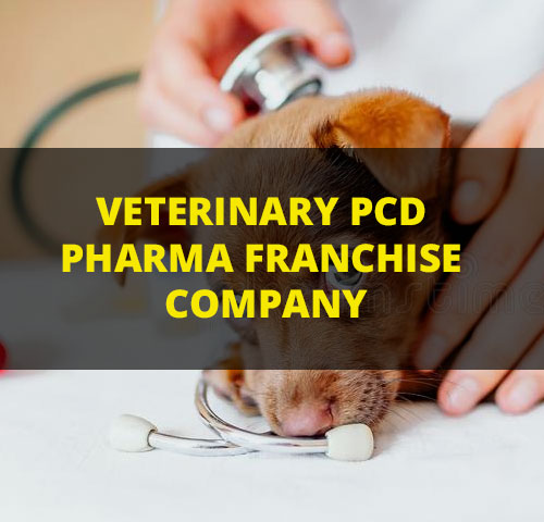Exclusive list of top veterinary medicine companies in india