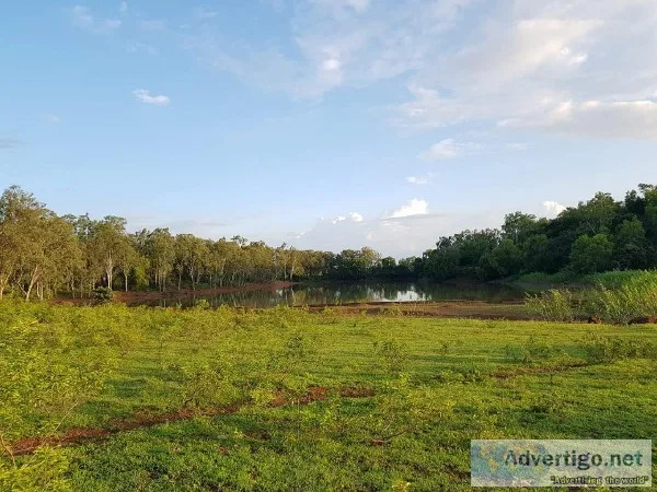 Agriculture Land Red Soil with Water  Facility 23 acre