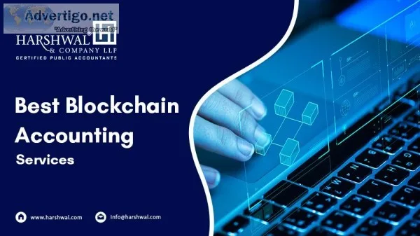 Best Blockchain Accounting Services Providing Firm in the USA &n