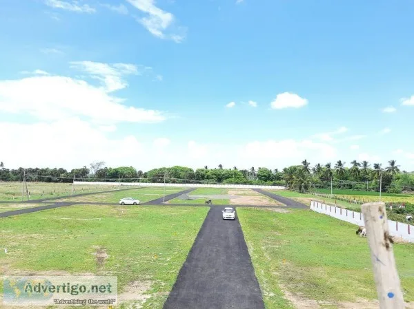 Thirukazhukundram Near Plot For Sale at Collector Nagar