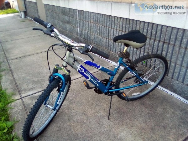 ROADMASTER FASTBACK BIKE