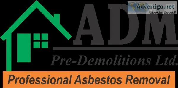 Mold Removal and Asbestos Removal