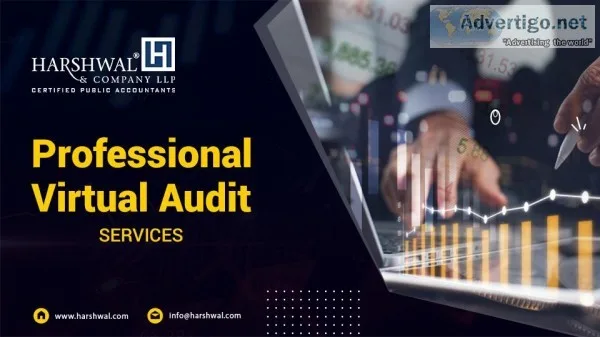 Hire Professional Virtual Auditor in the USA &ndash HCLLP