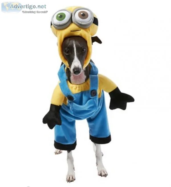 Minion Bob Dog Costume