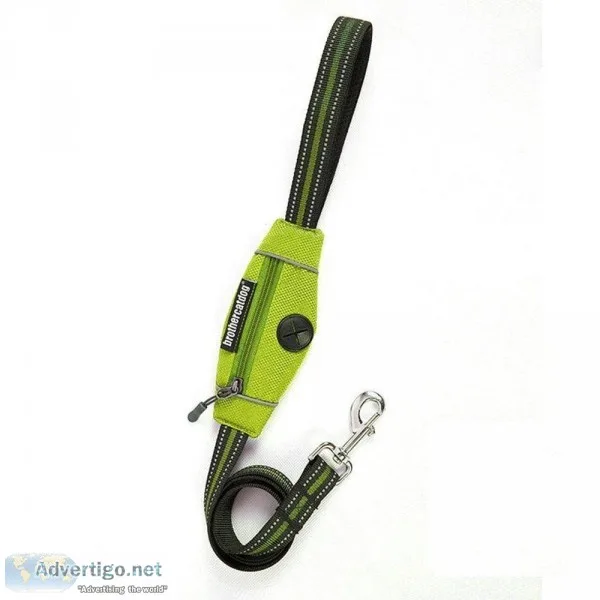 Dog chain collar online at dogfather