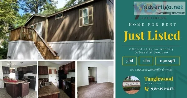 Homes for Rent or Sale