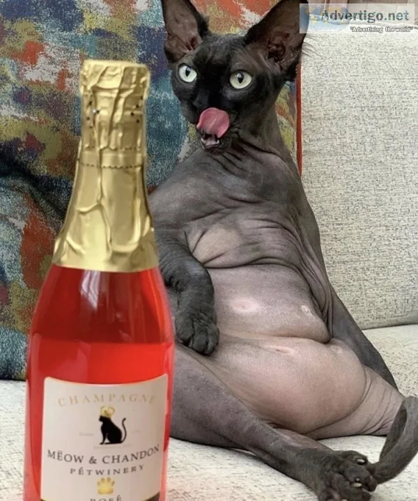 The pet winery - customized treats