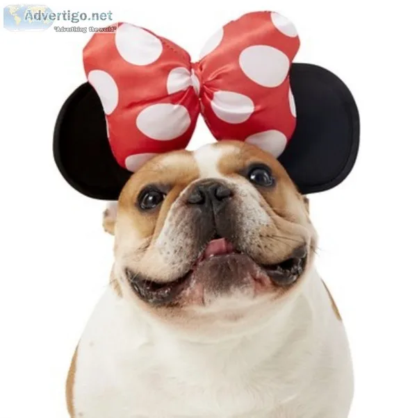 Minnie Mouse Ears Dog and Cat Costume