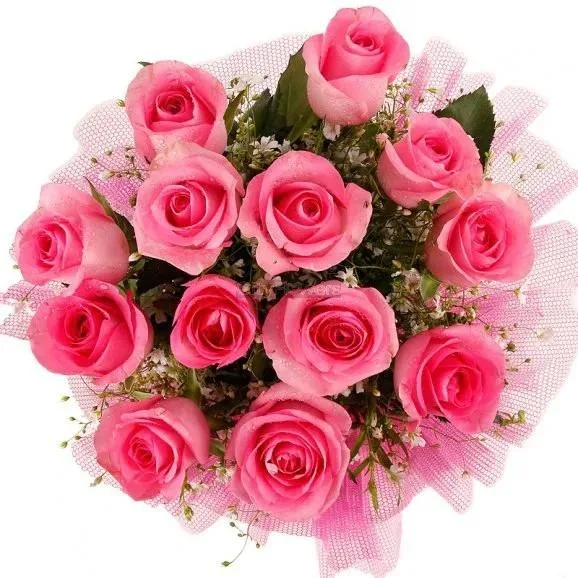 Sending Flowers to Jaipur Local Shop - CityFlowers