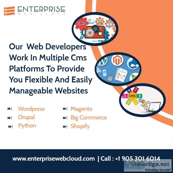 Web design and development services in Mississauga