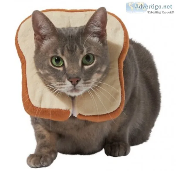Bread Cat Costume One Size