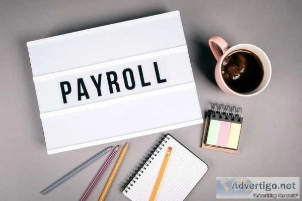 Looking for payroll management software for your company