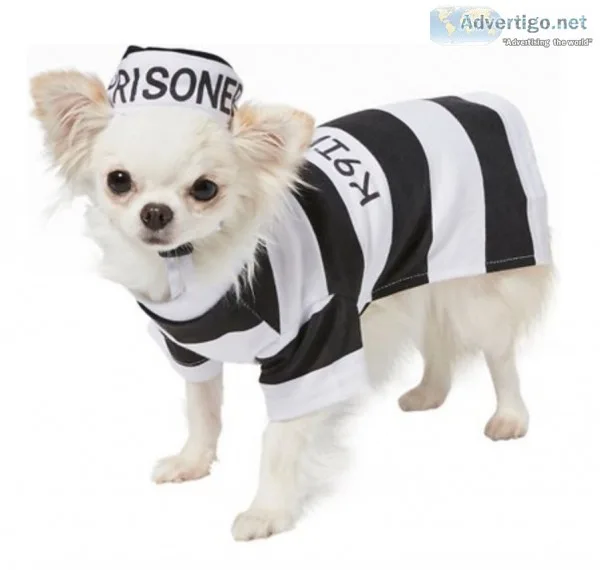 Prisoner Dog and Cat Costume