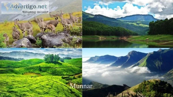 MUNNAR TOUR PACKAGES