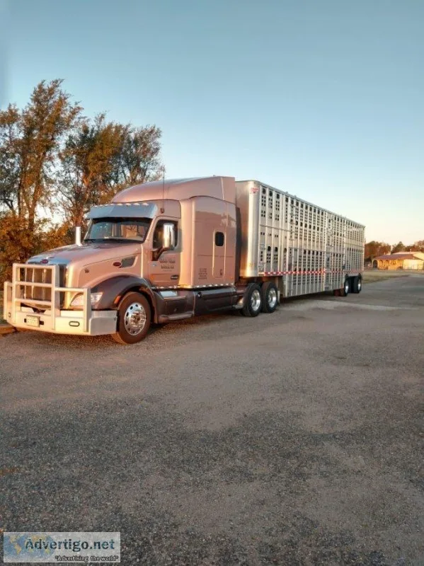 2016 Peterbilt 579 Semi Tractor