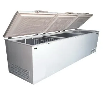 Hard Top Freezer at Best Price in India Hard Top Deep Freezer