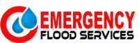 Sewer Backup Cleaning Service  emergencyfloodservic es.ca