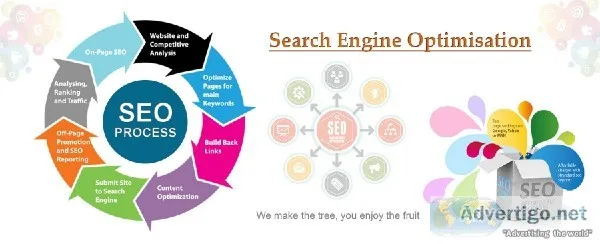 Find Top and Professional SEO Services in Noida