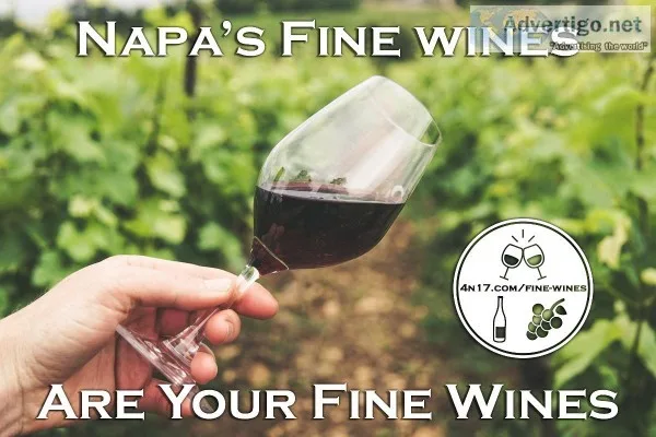 Best Wine of the Month Club AVAILABLE ANYWHERE