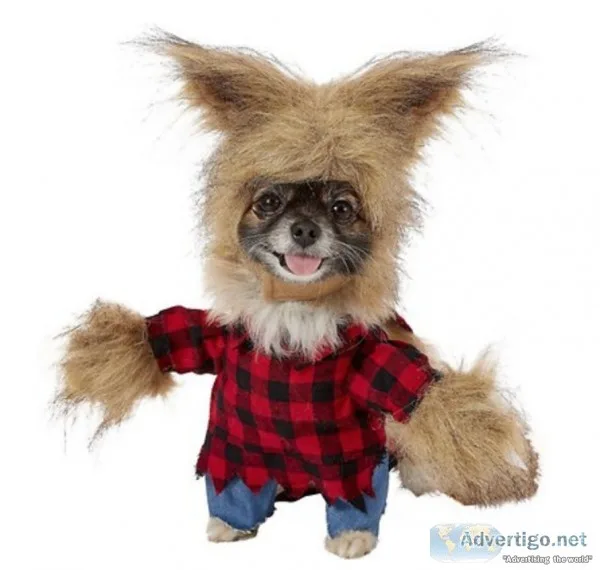 Werewolf Dog and Cat Costume