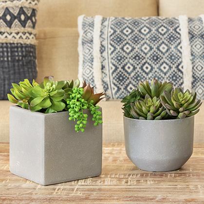 Yuccabe Italia - Providing An Online Platform For Buying Planter
