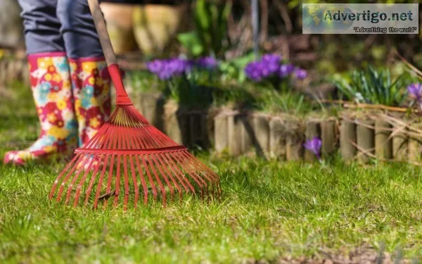 Spring Yard Clean Up Service - Dependable Lawn Care