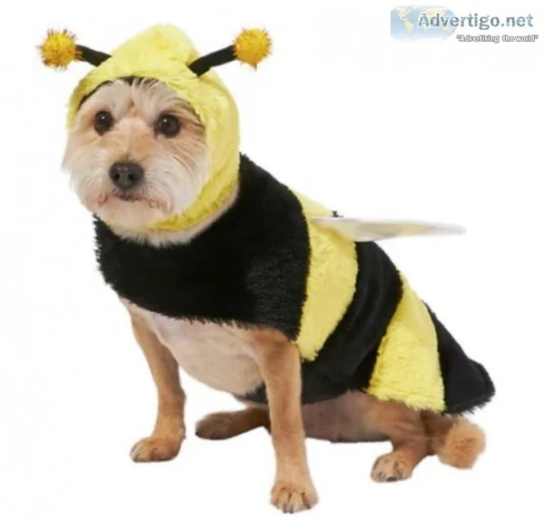 Bumble Bee Dog and Cat Costume