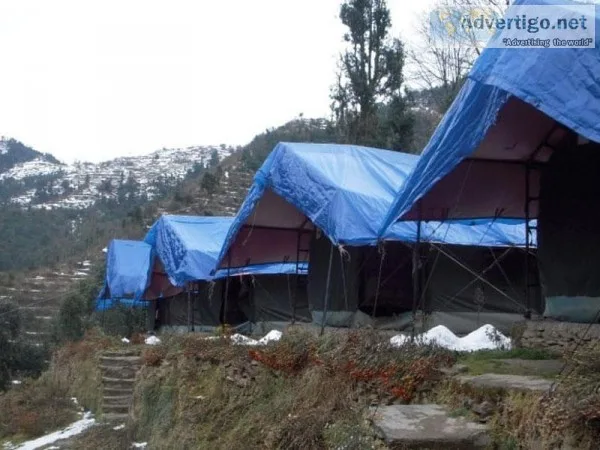 Group Camping in Dhanaulti  Camp O Royale Dhanaulti