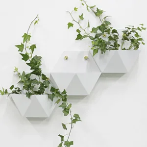 Yuccabe Italia - Dedicated companies selling plastic hanging pla