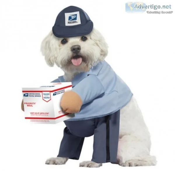USPS Delivery Driver Dog Costume