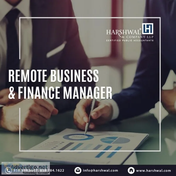 Remote Business and Finance Manager Service Provider &ndash HCLL