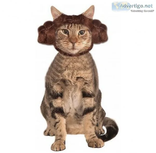 Princess Leia Buns Cat Costume